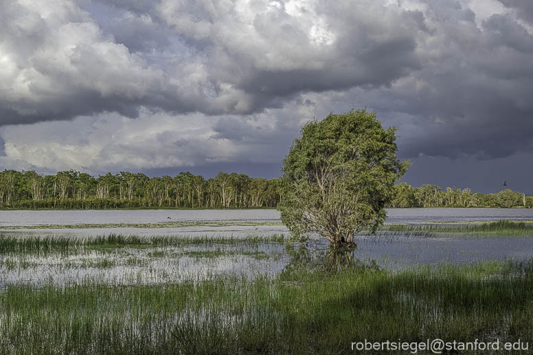 kakadu 2023